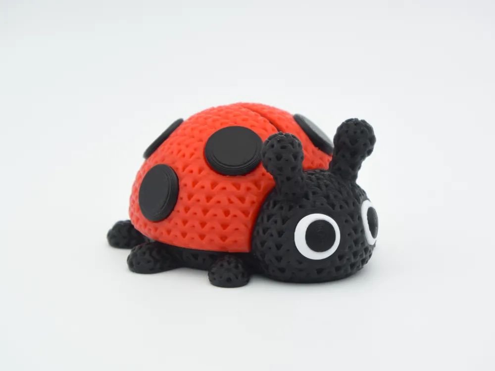 Ladybug