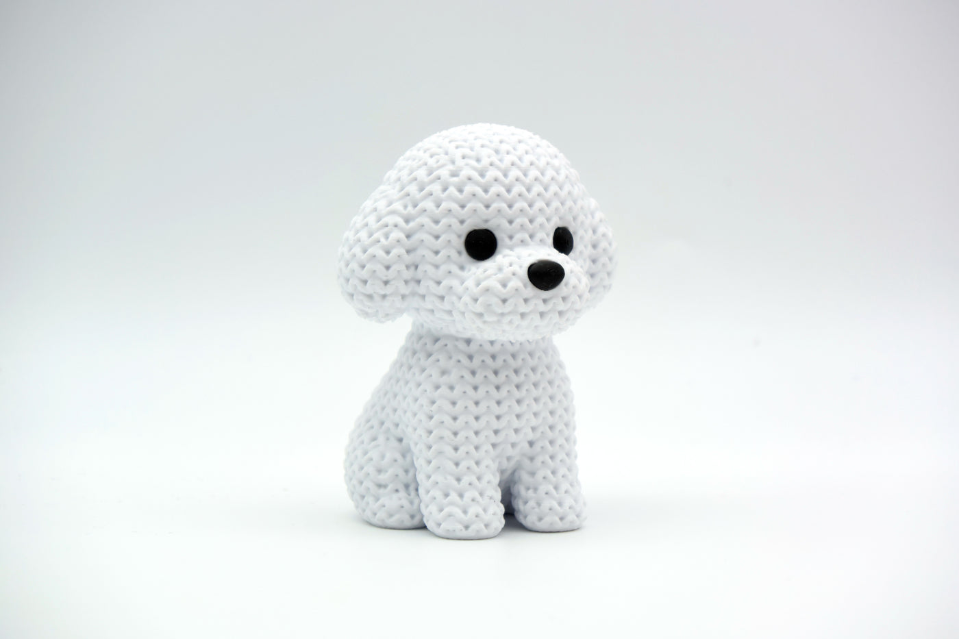 Bichon Frise