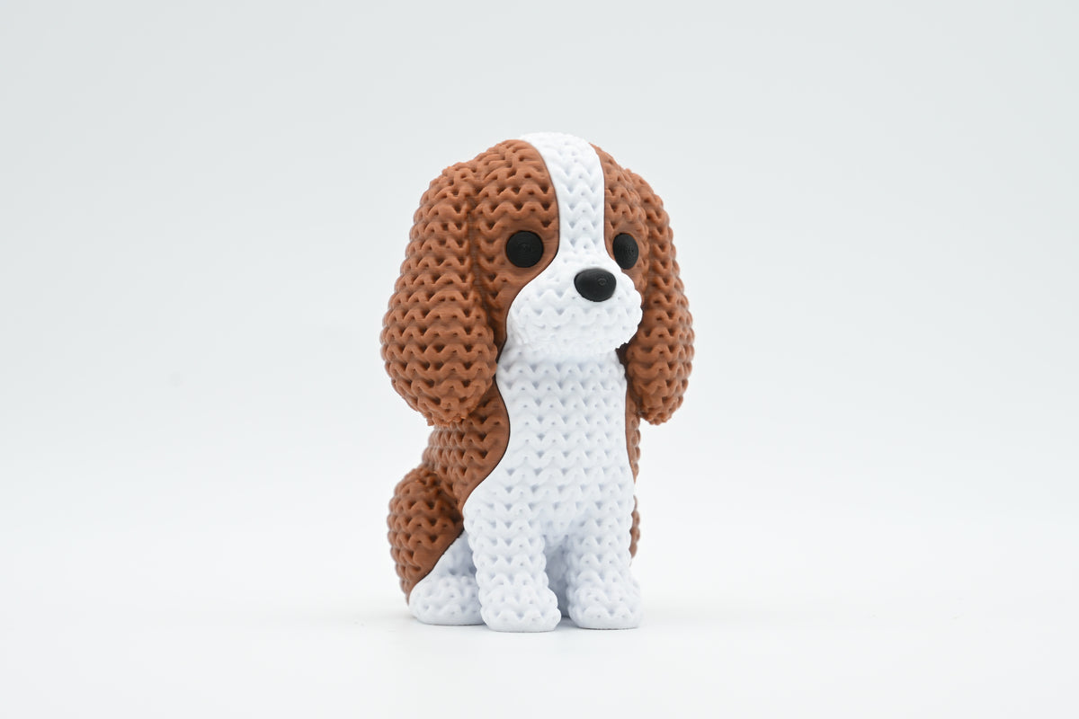 Cavalier King Charles Spaniel