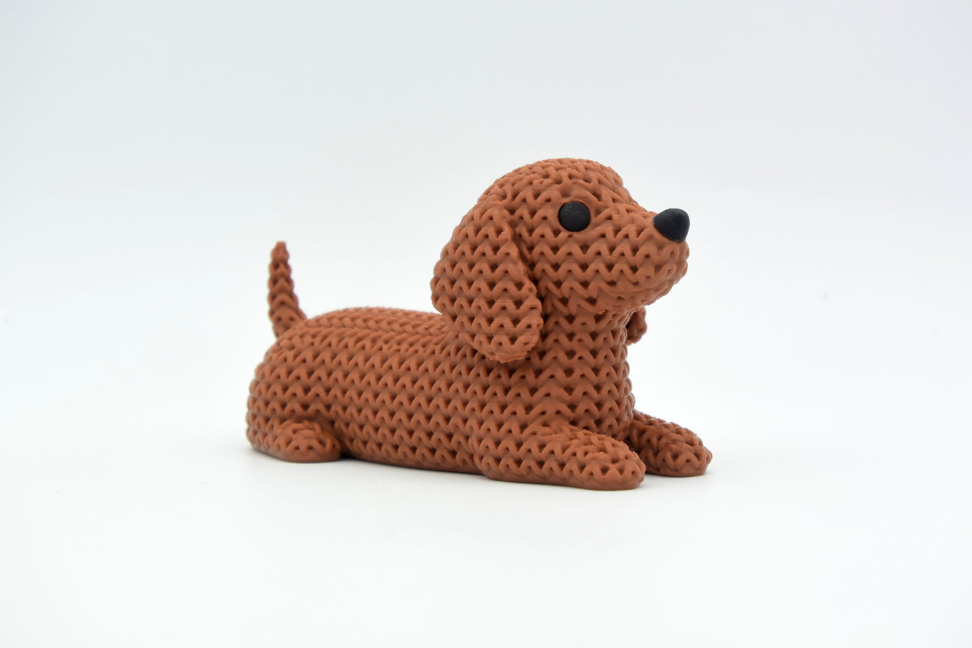 Dachshund