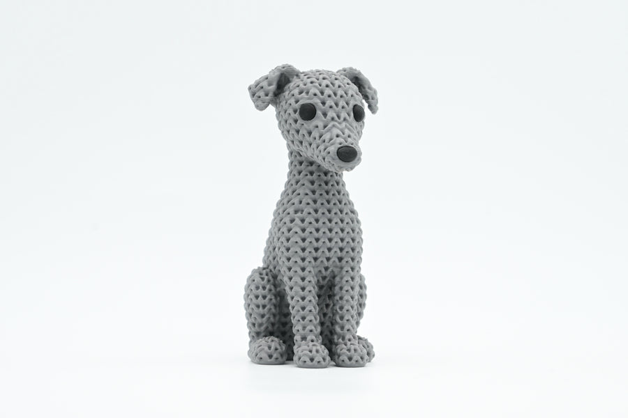 Greyhound