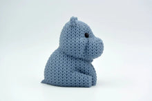 Hippo