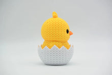 Hatching Chick