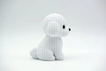 Bichon Frise