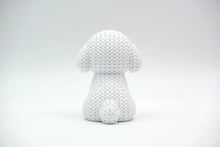 Bichon Frise