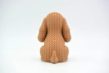 Cocker Spaniel