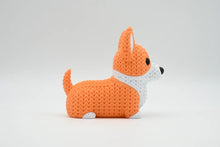 Corgi