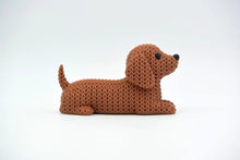 Dachshund