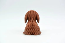 Dachshund