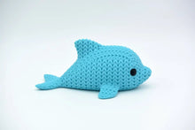 Dolphin