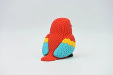 Scarlet Macaw