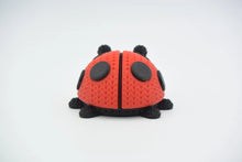 Ladybug