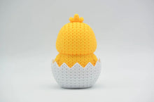 Hatching Chick