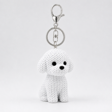 Bichon Frise