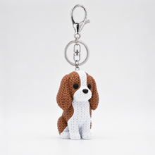 Cavalier King Charles Spaniel