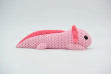 Axolotl